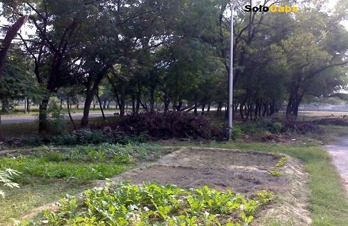Taxi from Delhi To Bareilly